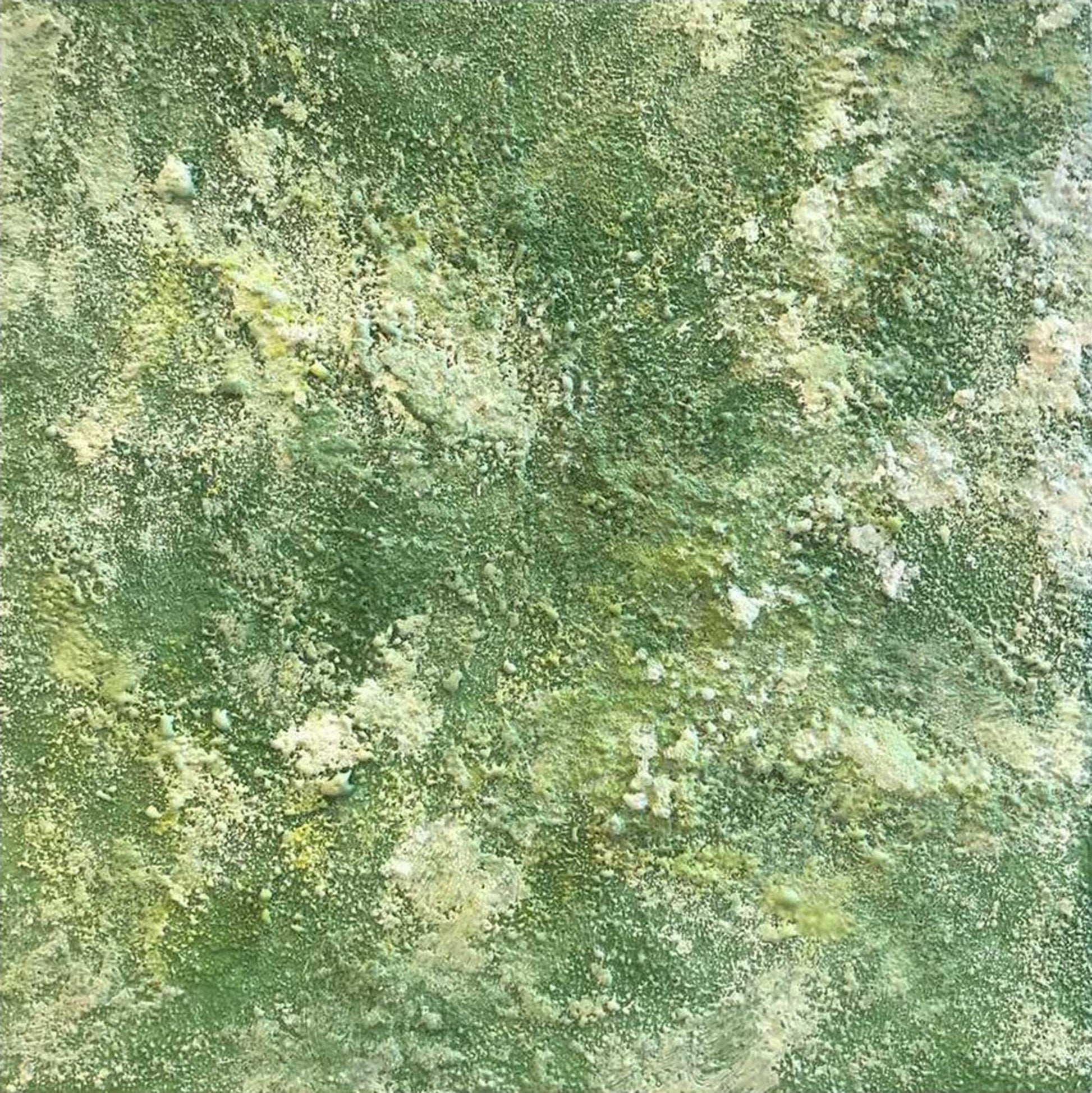 ENW-NB-136 "New Beginning" #136 (8x8x.875) Original encaustic abstract painting by Chizu Omori Art